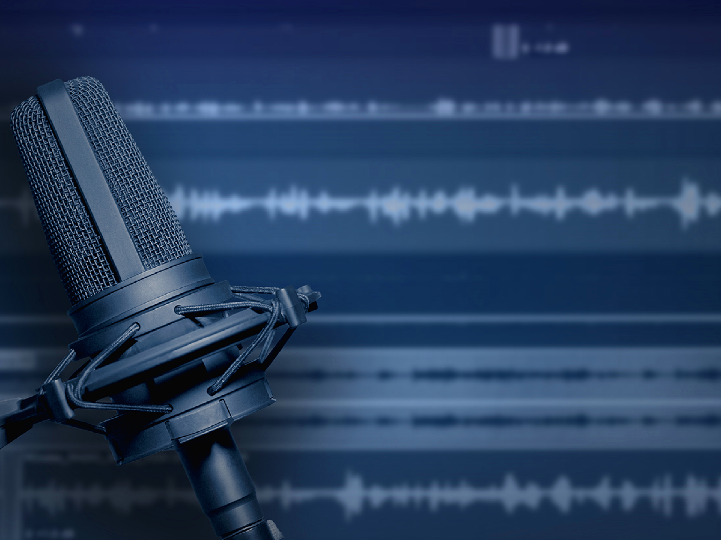 Professional messages on hold recording services