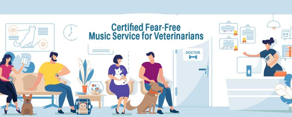 Easy On Hold | Blog - certified-fear-free-music-service-for-veterinarians