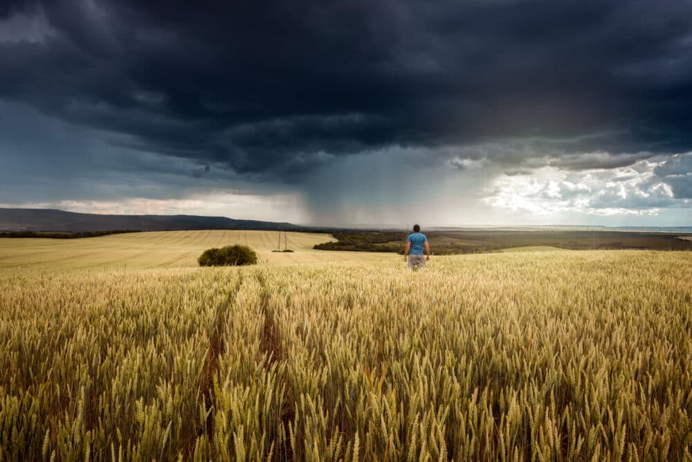 A Scene of a farmer watching an incoming storm who wants to know weather forecast. He benefits from Music and Weather On Hold when calling his local ag equiopment dealer.